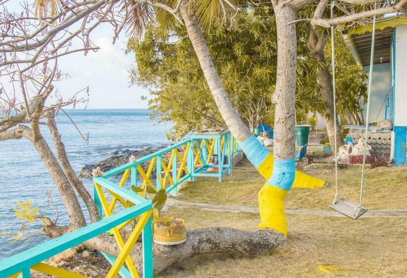 اتاق استاندارد سه نفره, Posada Salt Creek