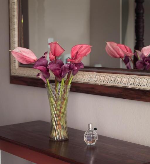 اتاق استاندارد, Annie's Boutique Guesthouse And Garden Spa