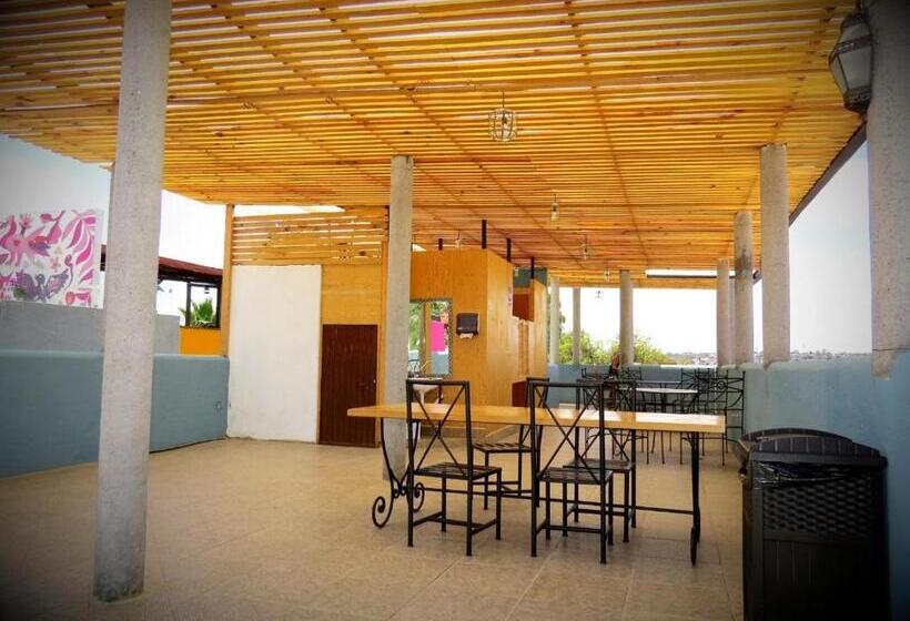اتاق استاندارد با سرویس بهداشتی مشترک, La Catrina Hostel