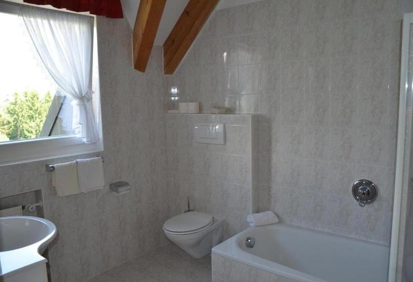 Номер Стандарт, Alpenlandhotel Rodeneggerhof