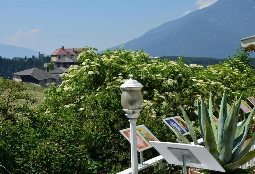Номер Стандарт Индивидуальный, Alpenlandhotel Rodeneggerhof