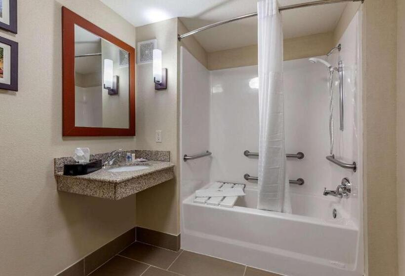 Стандартный Номер Кровать Кинг, Comfort Suites