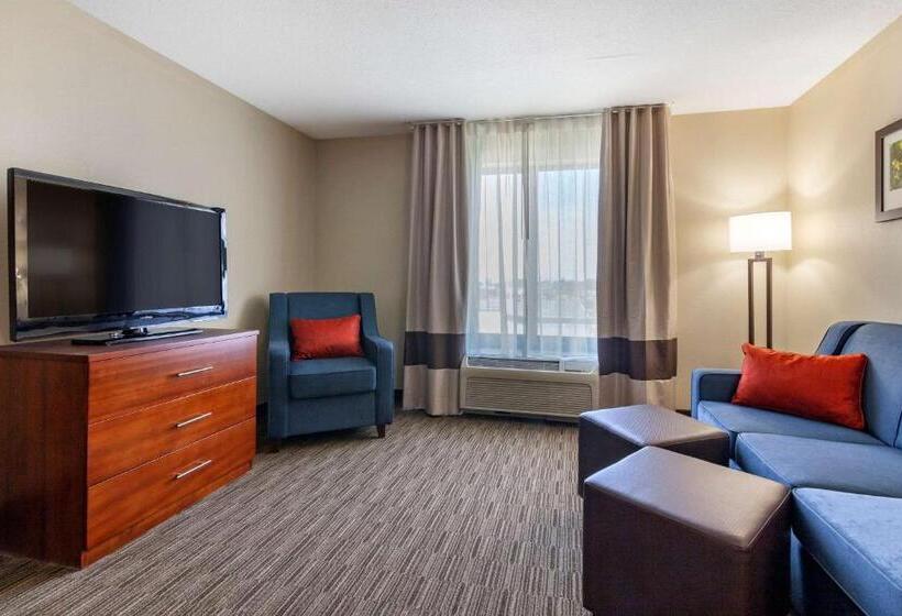 Люкс Адаптированный для Инвалидов, Comfort Suites