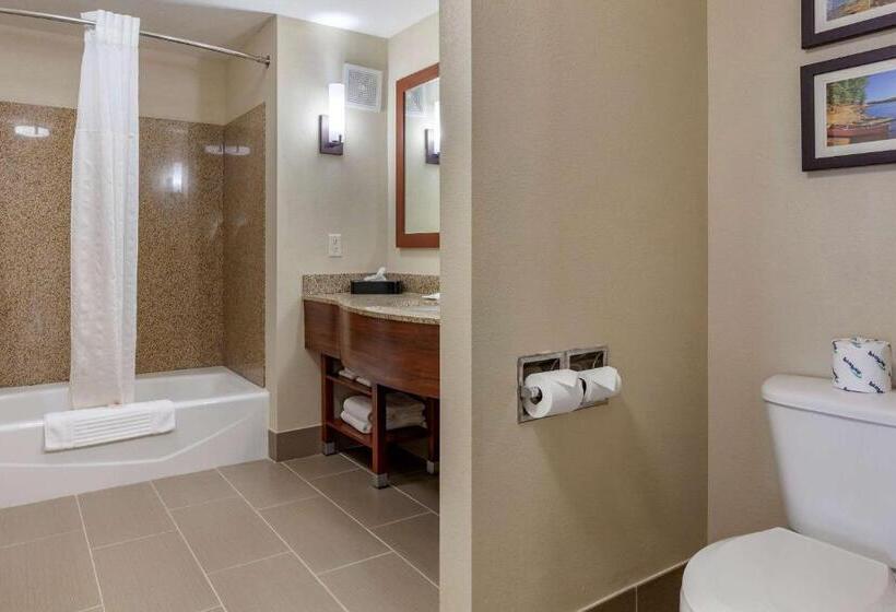 Люкс Кровать Кинг, Comfort Suites