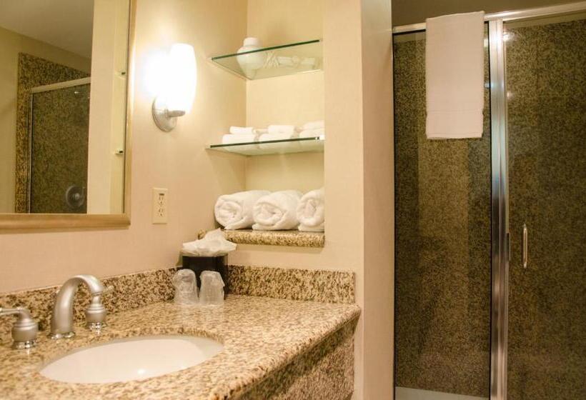Люкс Кровать Кинг, Holiday Inn Hotel Pewaukee Milwaukee West, An Ihg