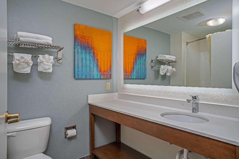 سوئیت با تخت بزرگ, Mainstay Suites Wilmington   University Area