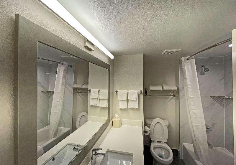 Suite met Kingsize Bed, Quality Suites Houston Hobby Airport