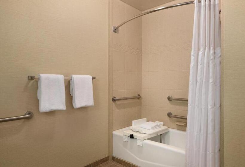اتاق استاندارد با تخت بزرگ, Radisson Hotel Lenexa Overland Park