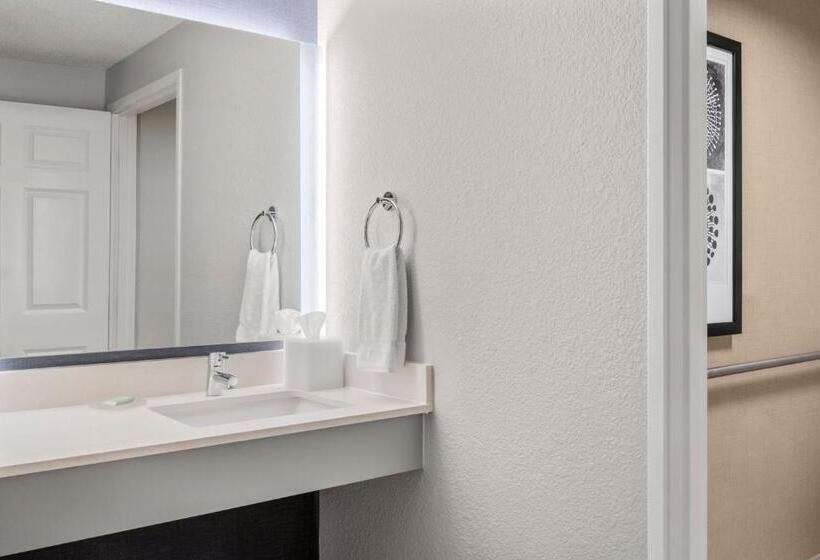 Люкс, Residence Inn By Marriott Chicago Naperville/warrenville