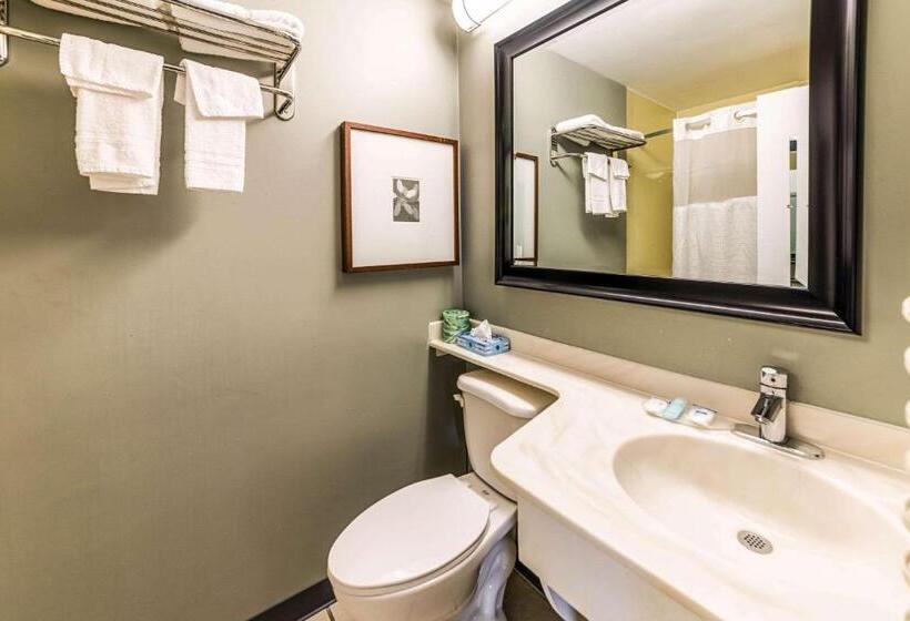 스탠다드 룸 킹사이즈 침대, Knights Inn Montgomeryville