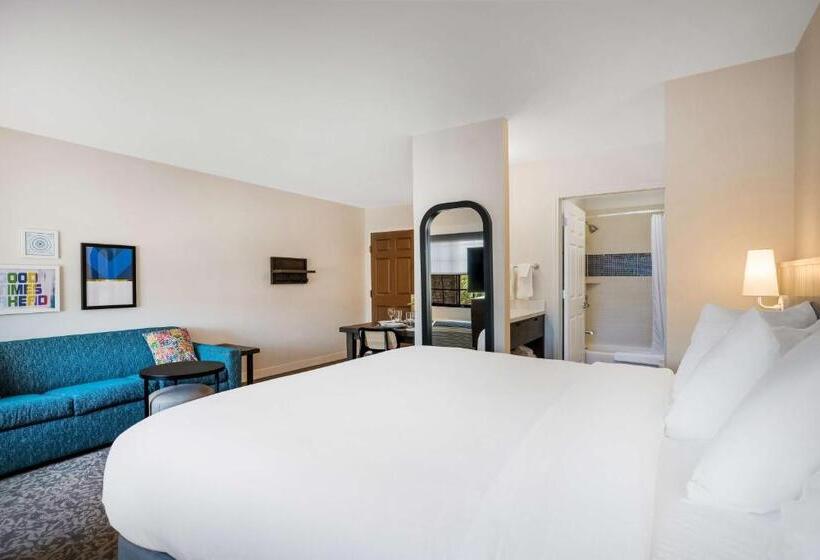 Студио Стандарт Кровать Кинг, Sonesta Es Suites Denver South  Park Meadows