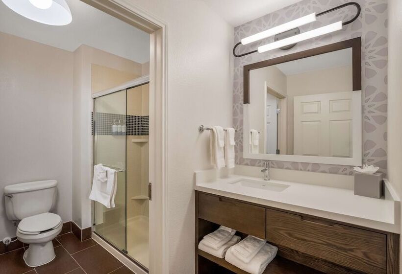 Люкс 2 Спальни, Sonesta Es Suites Denver South  Park Meadows