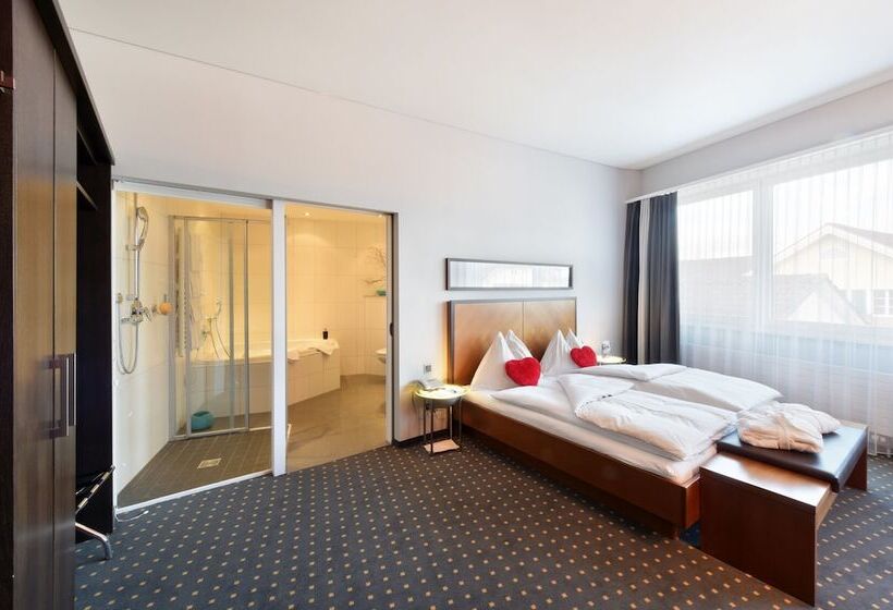 Полулюкс, B Smart Hotel Schönenwerd