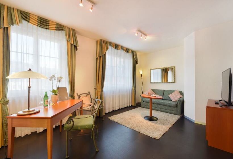 Полулюкс, B Smart Hotel Schönenwerd