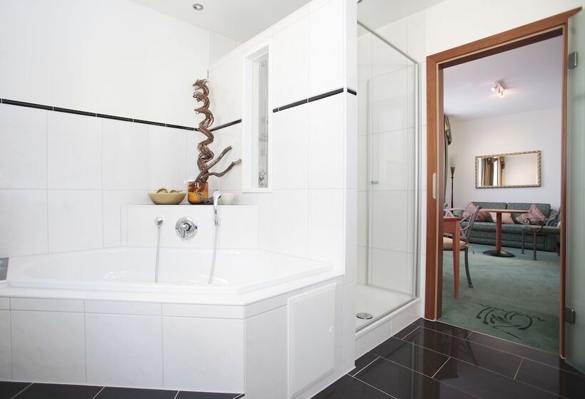 Полулюкс, B Smart Hotel Schönenwerd
