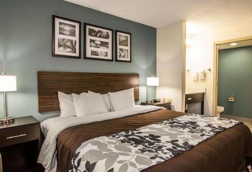 带大床的标准间, Sleep Inn Greensboro Airport