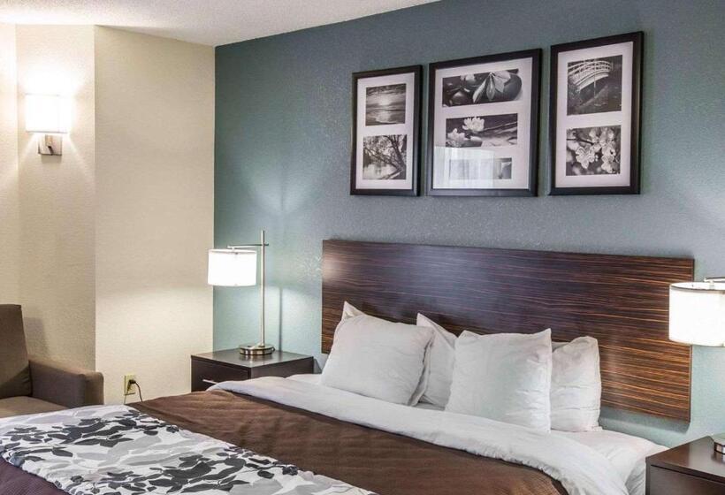 带大床的标准间, Sleep Inn Greensboro Airport