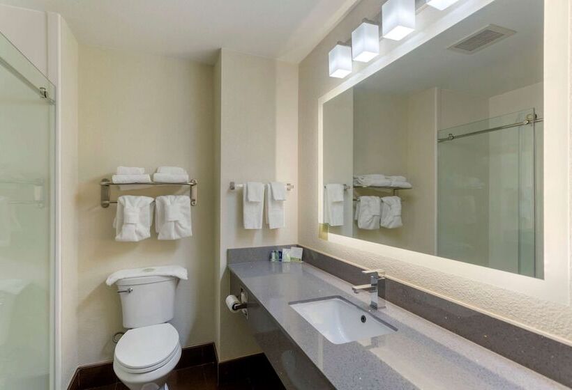套房, Sleep Inn & Suites Smyrna   Nashville