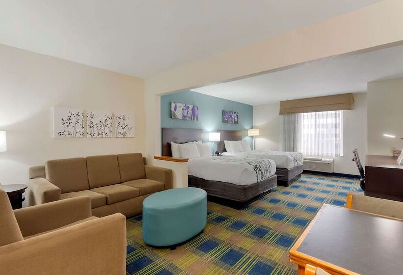 套房, Sleep Inn & Suites Smyrna   Nashville