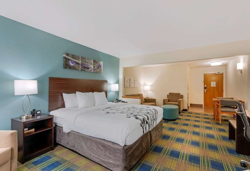 套房, Sleep Inn & Suites Smyrna   Nashville