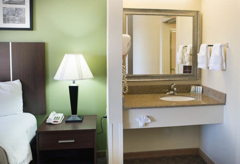 اتاق استاندارد با 2 تخت دوبل, Sleep Inn Asheville  Biltmore West