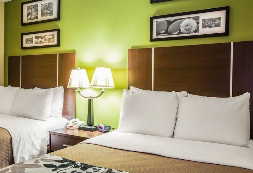 اتاق استاندارد با 2 تخت دوبل, Sleep Inn Asheville  Biltmore West