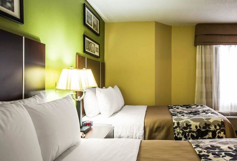 اتاق استاندارد با 2 تخت دوبل, Sleep Inn Asheville  Biltmore West