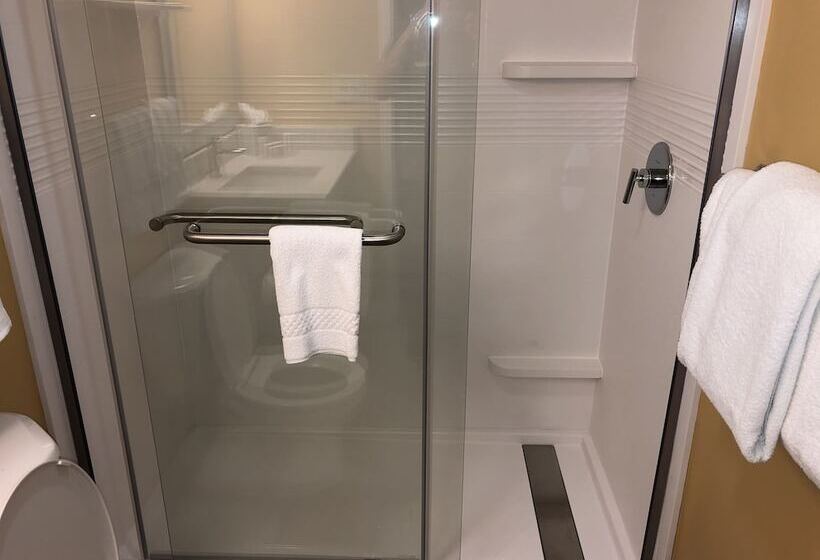 Люкс, Towneplace Suites Tampa North/i75 Fletcher