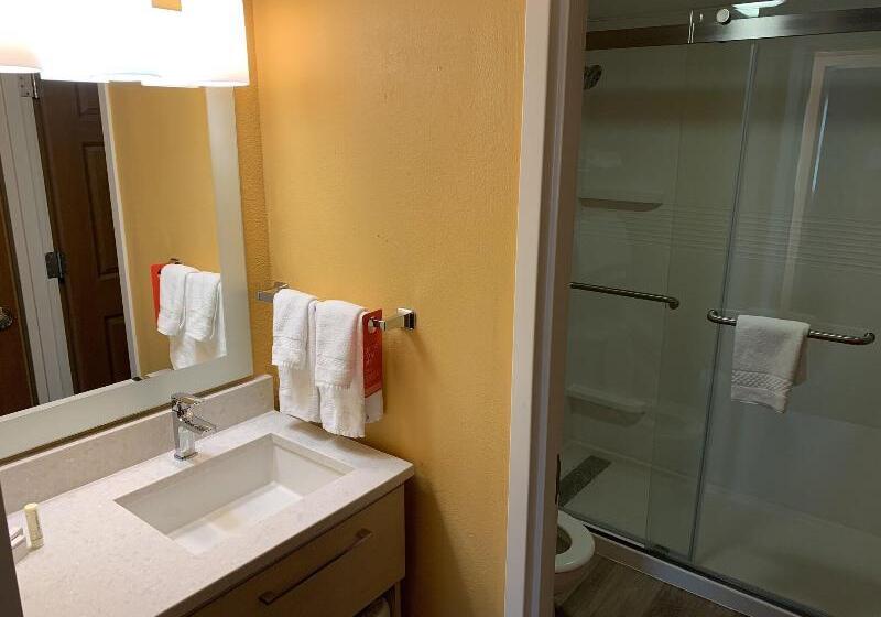 Люкс, Towneplace Suites Tampa North/i75 Fletcher