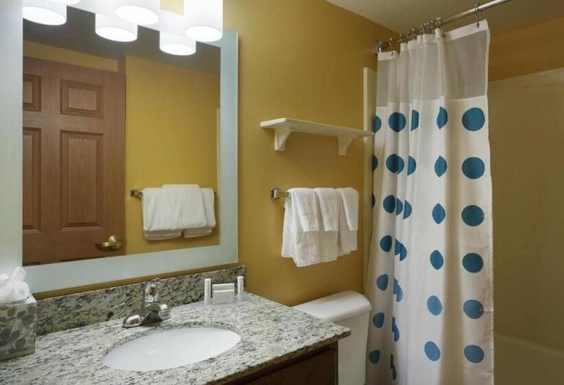 Студия Стандарт, Towneplace Suites Tampa North/i75 Fletcher