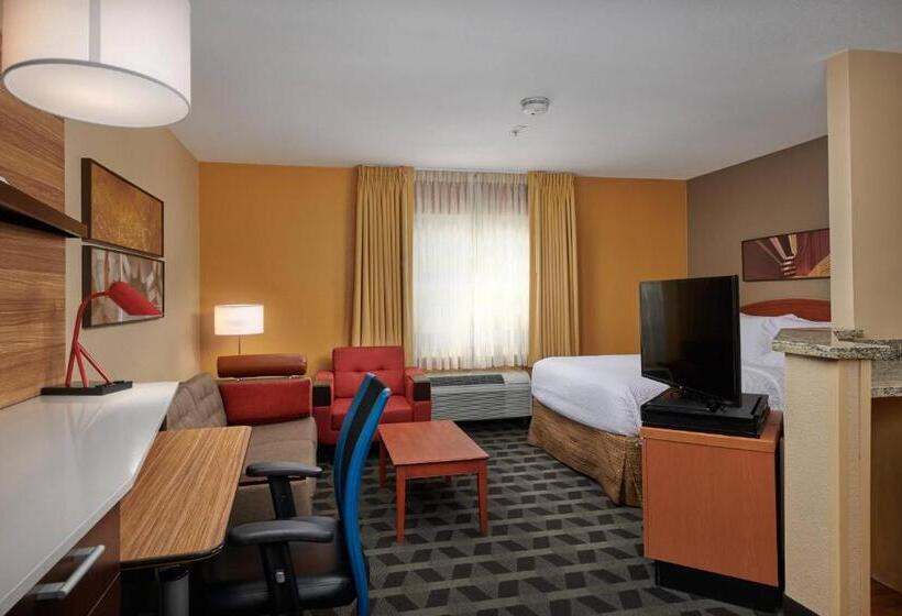 Студия Стандарт, Towneplace Suites Tampa North/i75 Fletcher