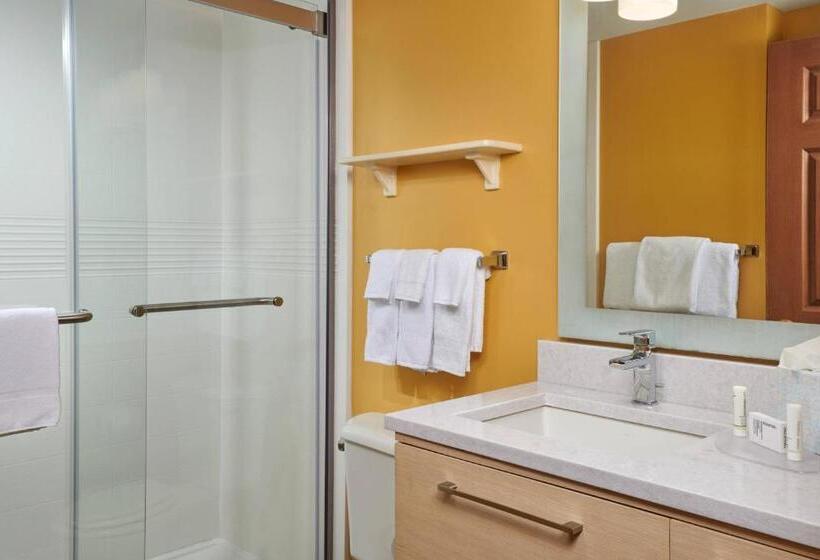 Люкс, Towneplace Suites Tampa North/i75 Fletcher