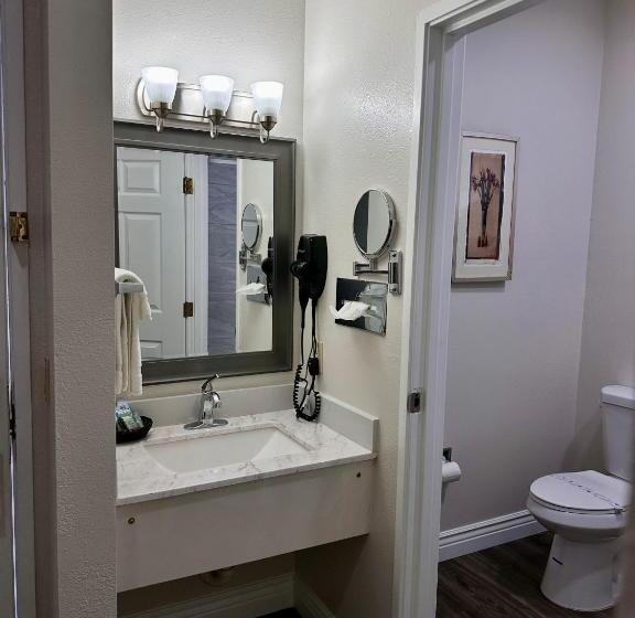 اتاق استاندارد با تخت بزرگ, Americas Hotel   El Paso Airport / Medical Center