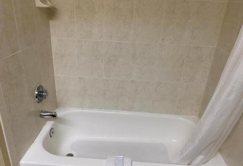 スタンダードルーム, Red Lion Inn & Suites Iah Airport East
