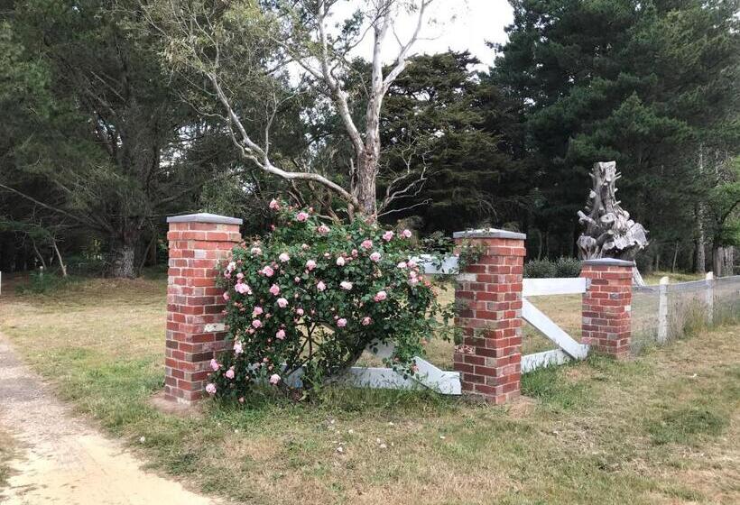 스탠다드 룸 공동 욕실, Helen S Homestead