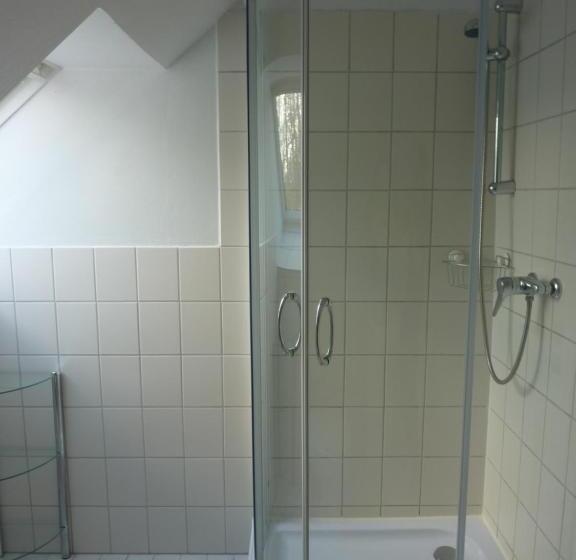 Номер Стандарт, Pension Ziemann