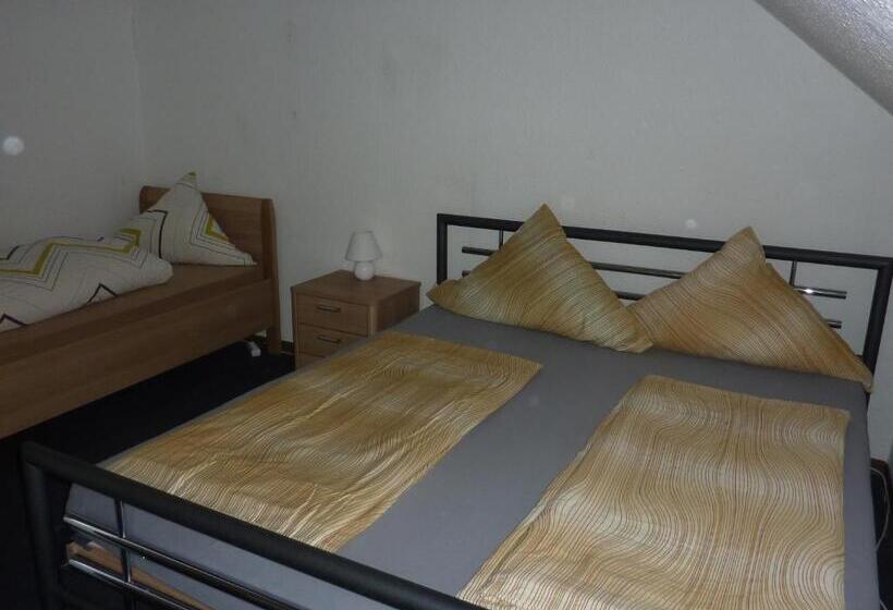 Номер Стандарт, Pension Ziemann