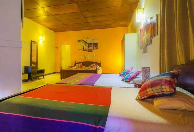 اتاق سوپریور چهار تخته, Greendale Bunglow