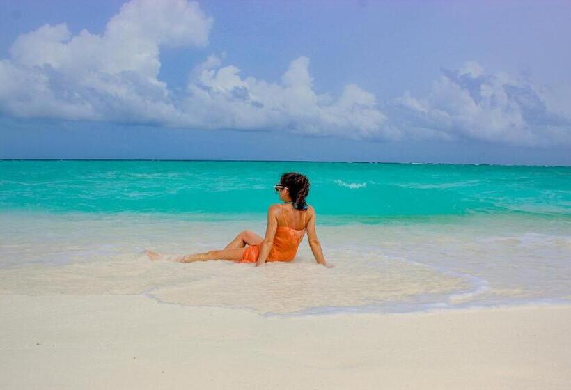 ویلای 1 خوابه با چشم‌انداز دریا, Sabba Beach Suite , Fodhdhoo   Maldives