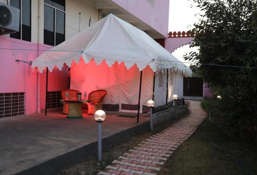 豪华房间, The Forest View Resort