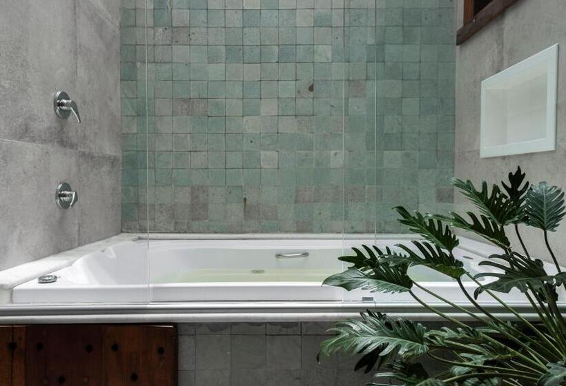 خانه 4 خوابه, Akua Concept   Taipu De Fora