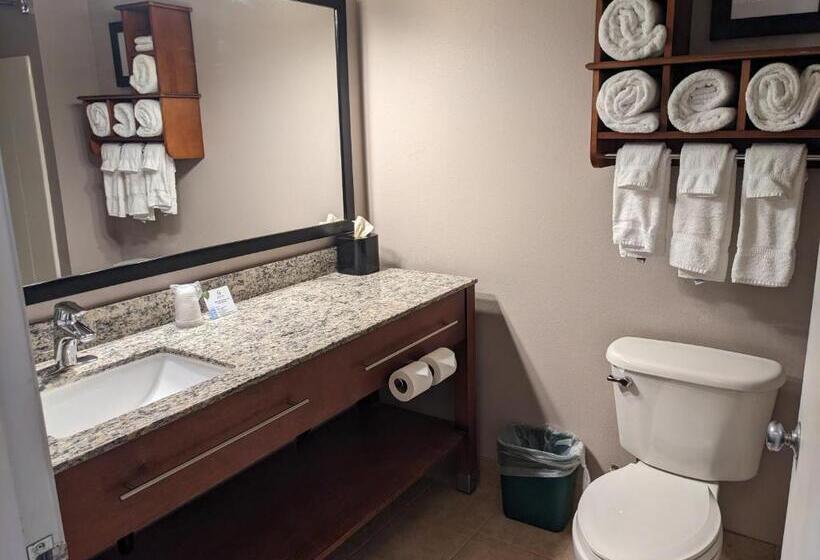 Люкс, Grandstay Residential Suites