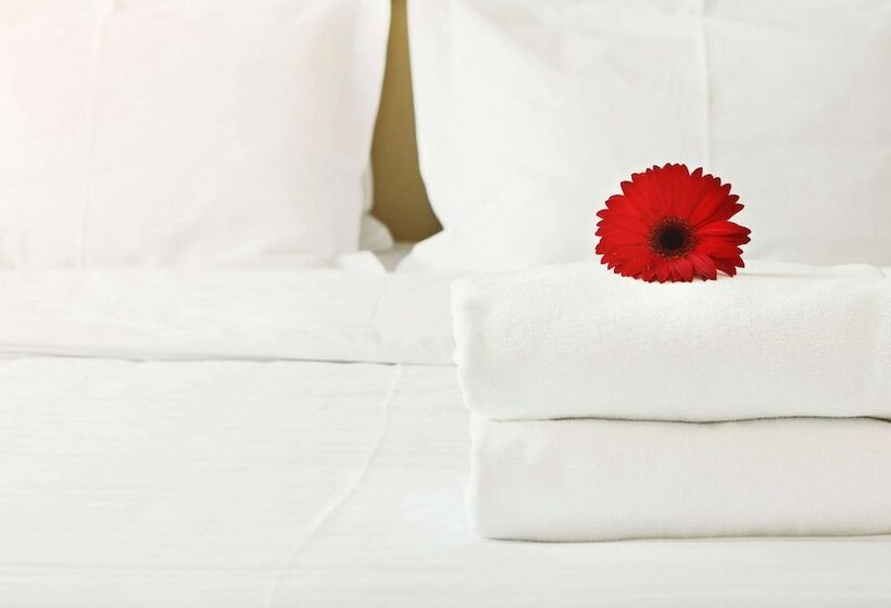 스탠다드 룸 더블 침대 2개, M Star Hotel Searcy