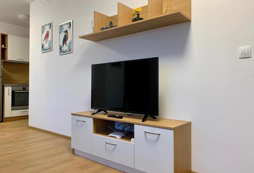 استودیو استاندارد با تراس, Gardenia Apartments
