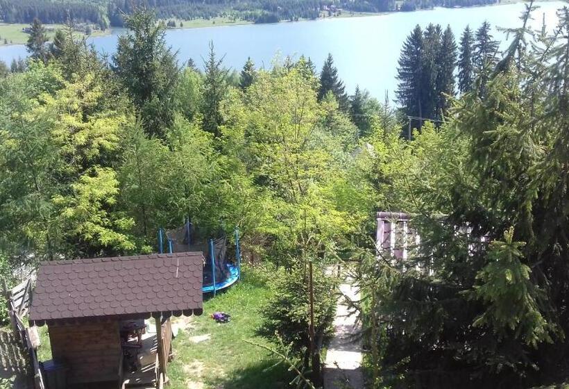 خانه 1 خوابه, Casa Edy