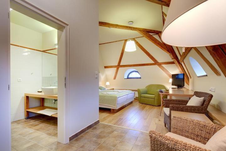 스탠다드 룸, Resort Líšenský Dvůr