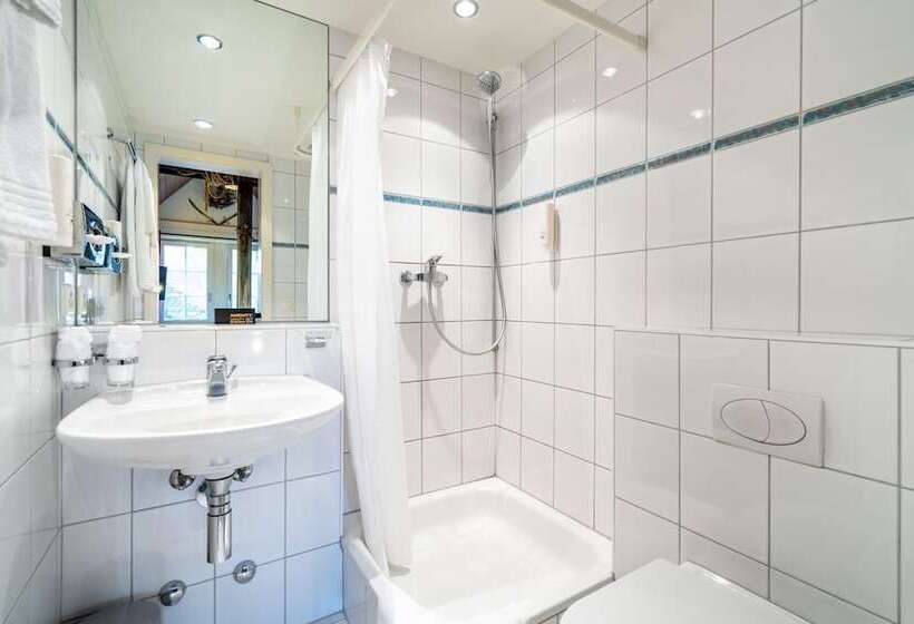 سوئیت با تخت بزرگ, Altstadt Hotel Magic Luzern