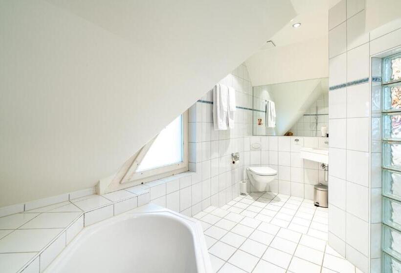 اتاق استاندارد, Altstadt Hotel Magic Luzern