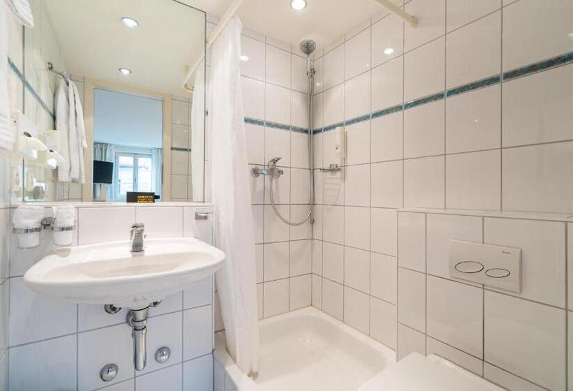 سوئیت با تخت بزرگ, Altstadt Hotel Magic Luzern