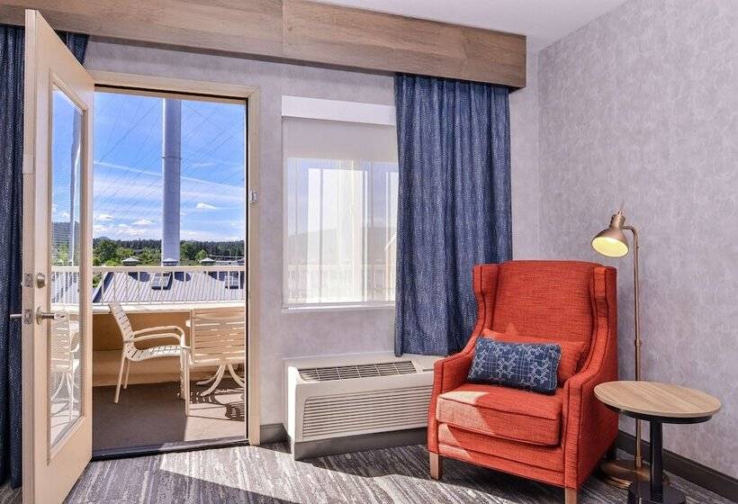 اتاق استاندارد با 2 تخت دوبل, Hilton Garden Inn Bend